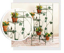 Plant Stands