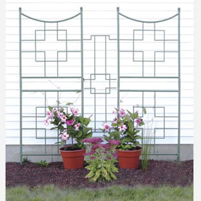 Garden Trellis Design on Trellis Designs  Wrought Iron Trellis Designs  Iron Garden Trellis