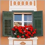 Iron Window Boxes