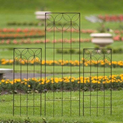 Wrought Iron Outdoor Trellis