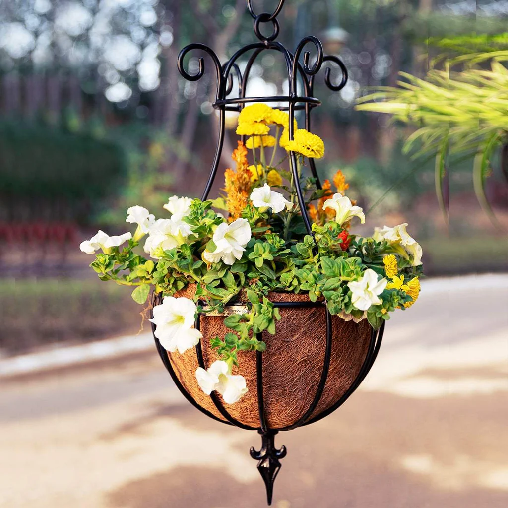 Wrought Iron Hanging Baskets 