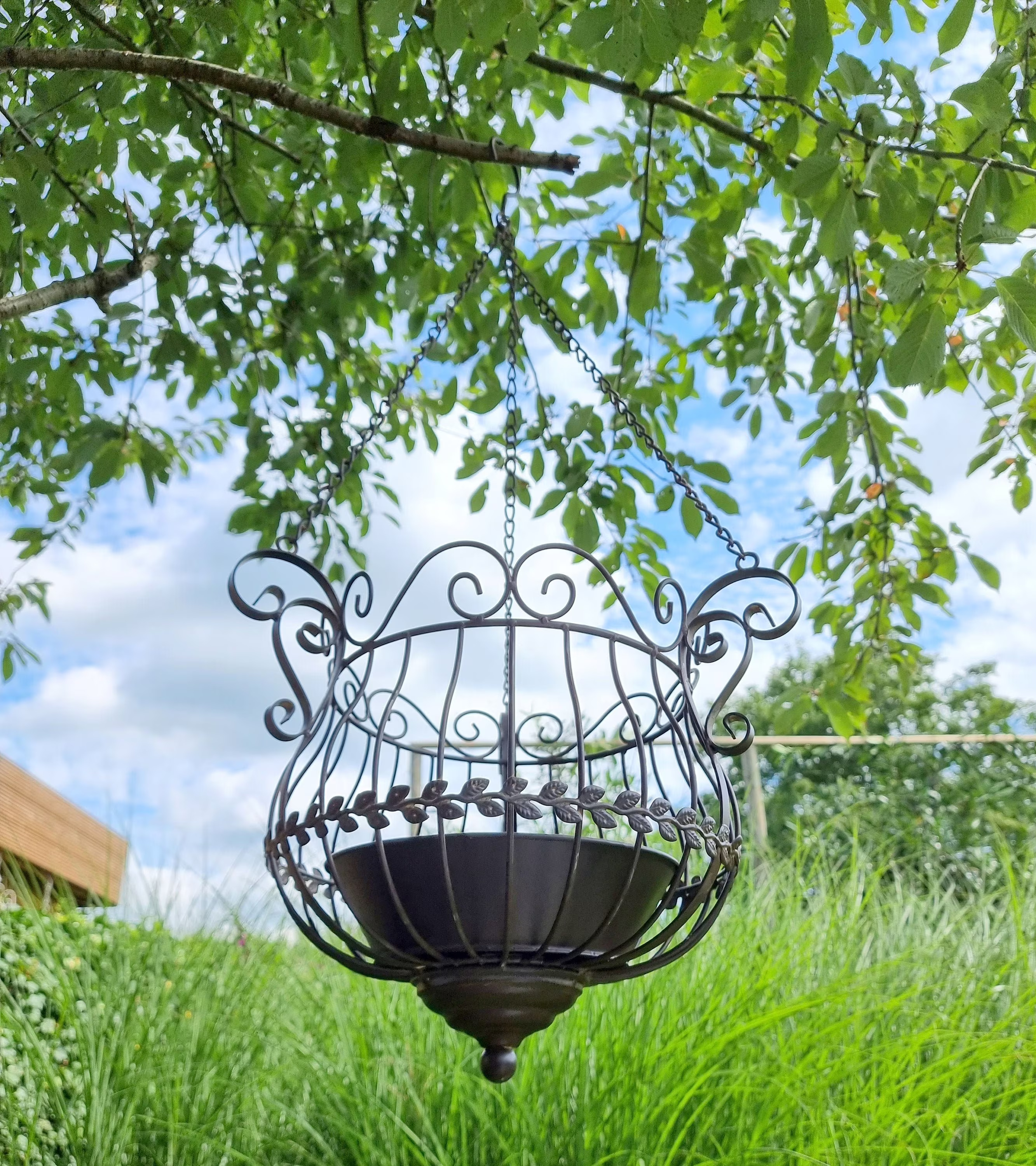 hanging-baskets5