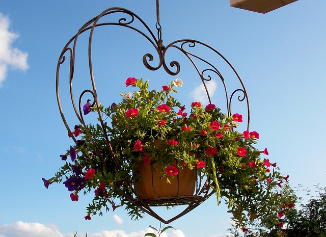 hanging-baskets6