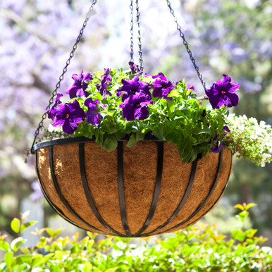 hanging-baskets1