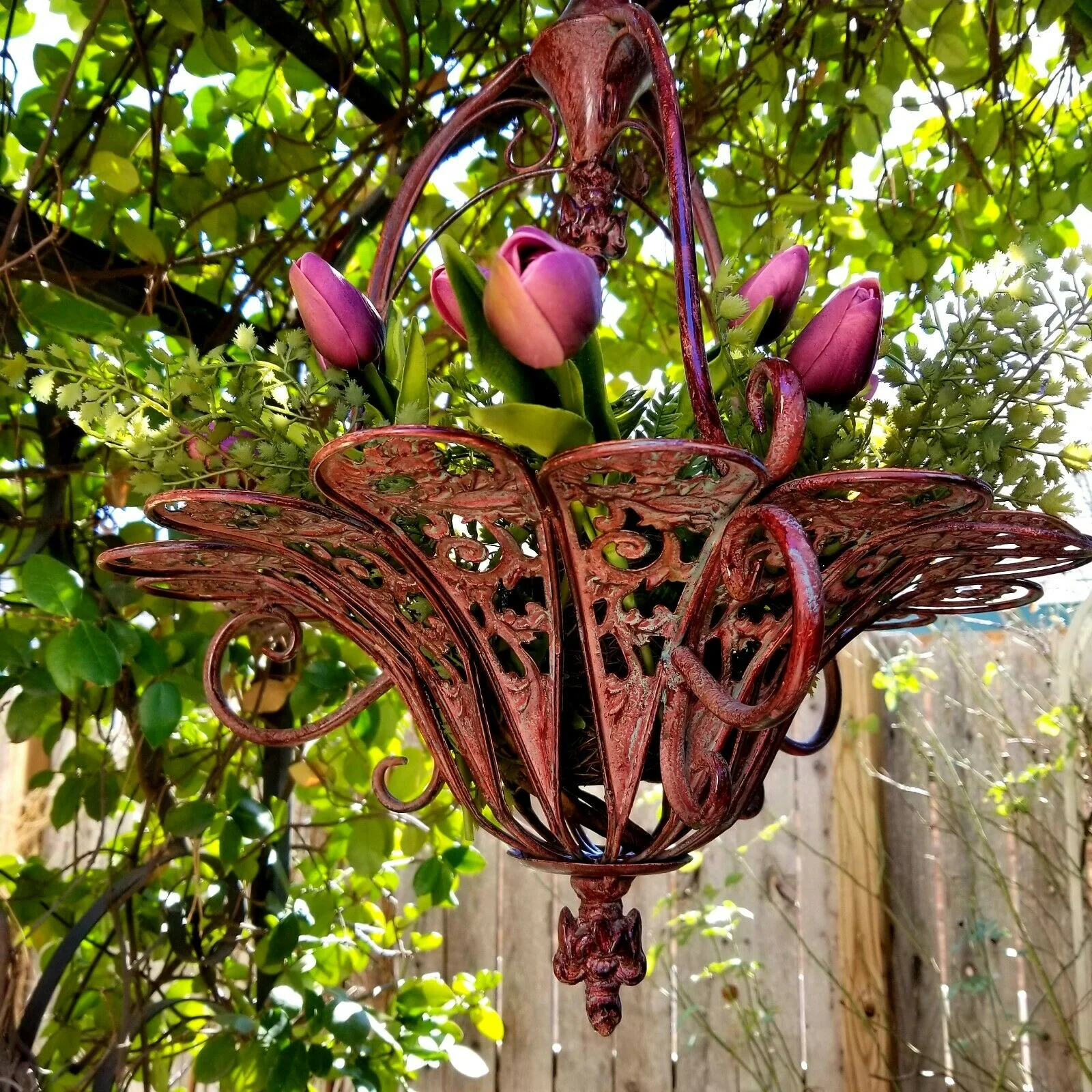 hanging-baskets2