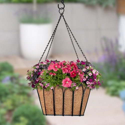 hanging-baskets3