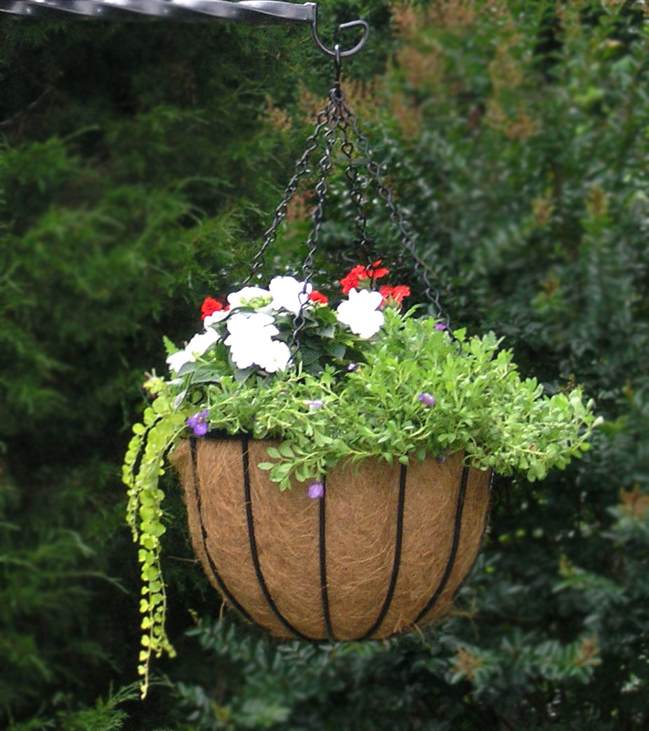 hanging-baskets1