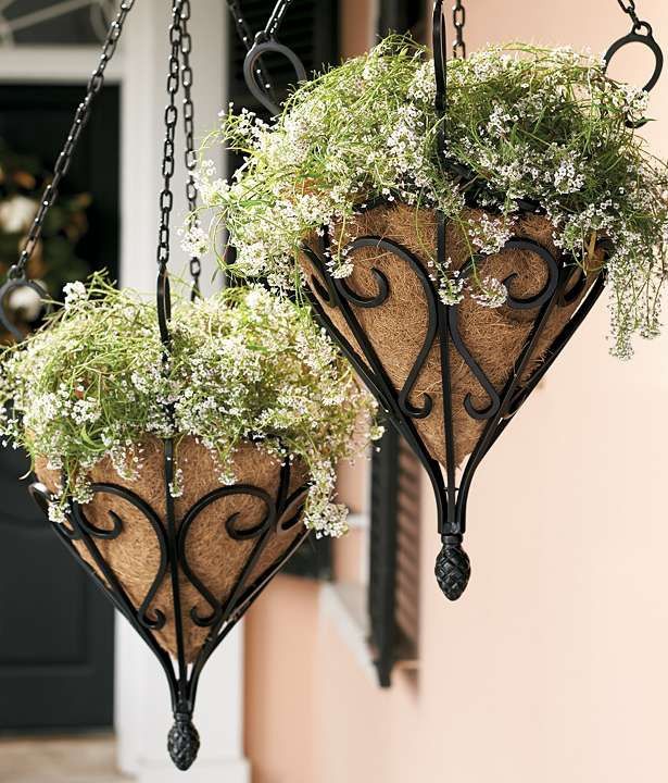 hanging-baskets3