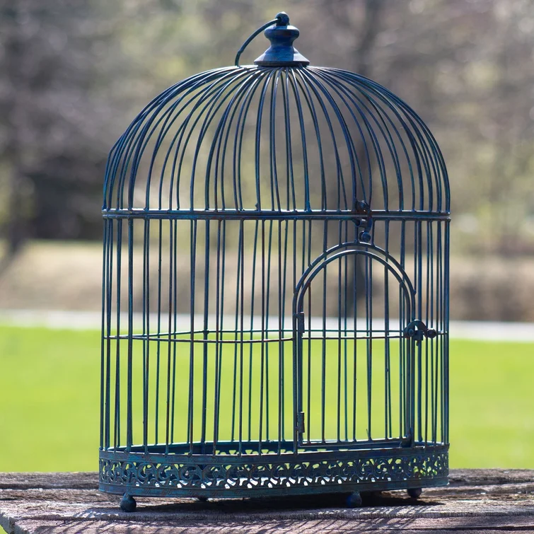 Wrought Iron Bird Houses 