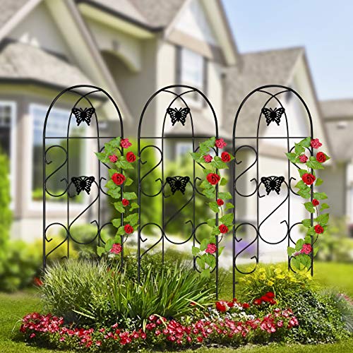 Wrought Iron garden-trails