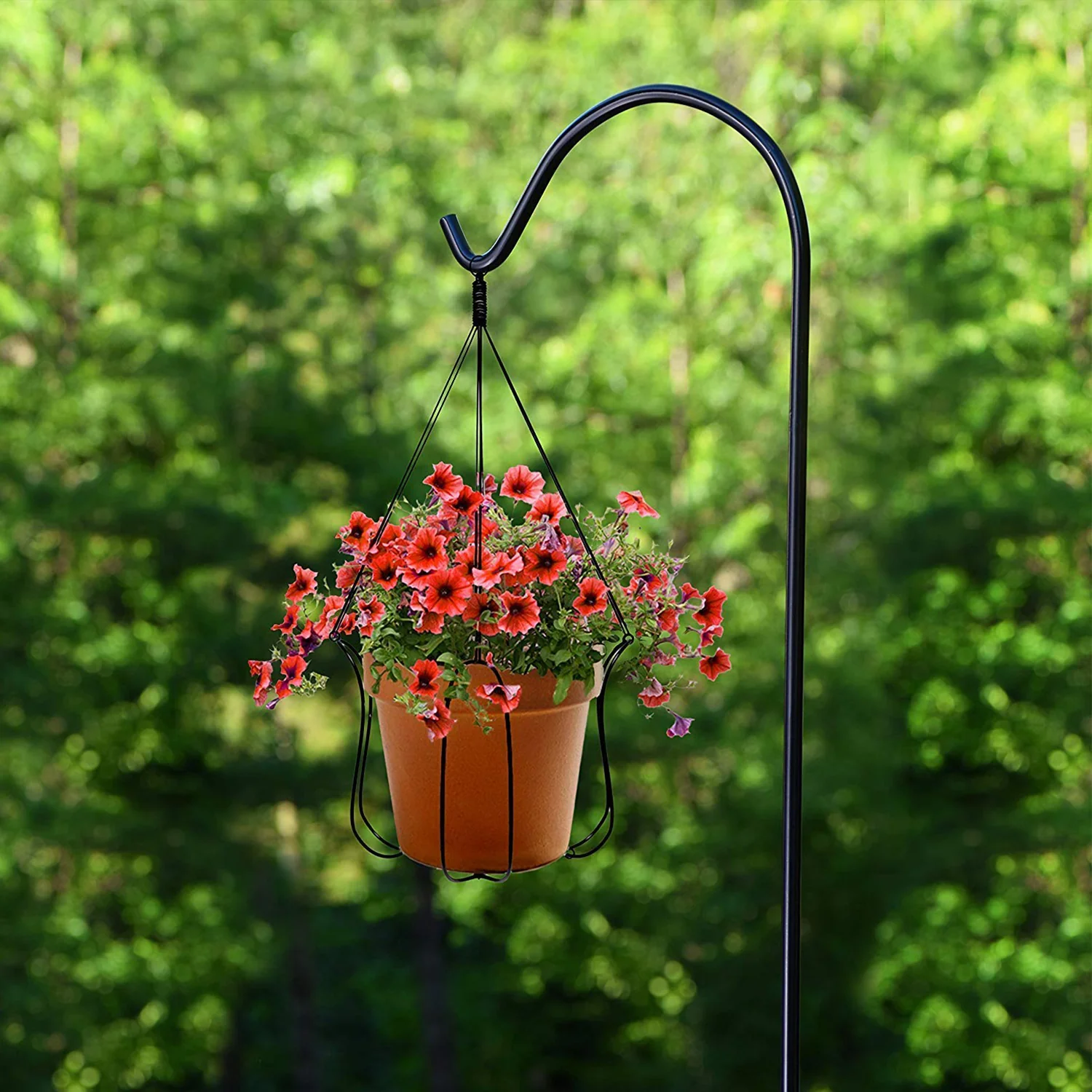 Wrought Iron shepherd hook