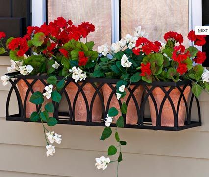 window-box1