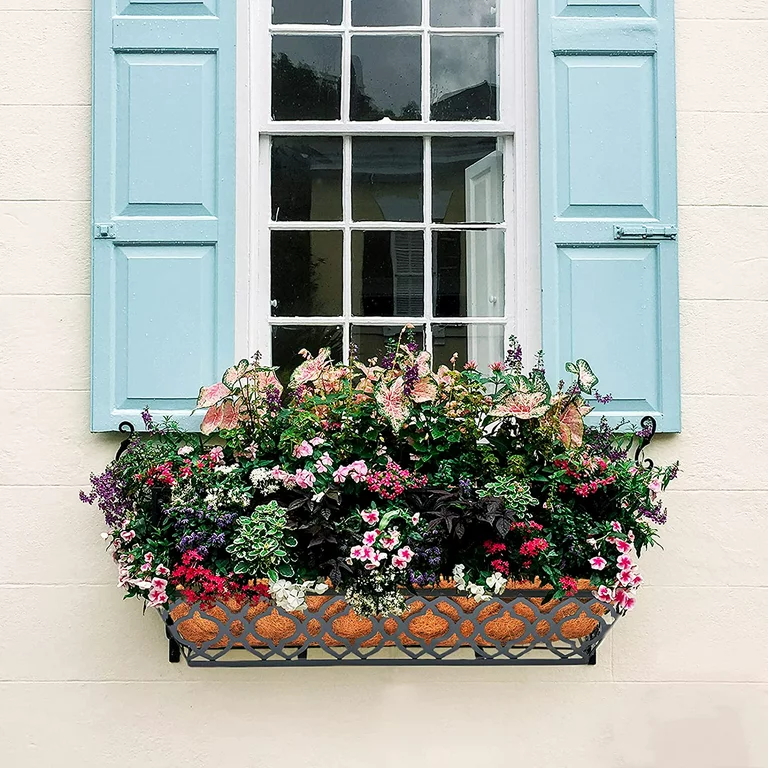 window-box5