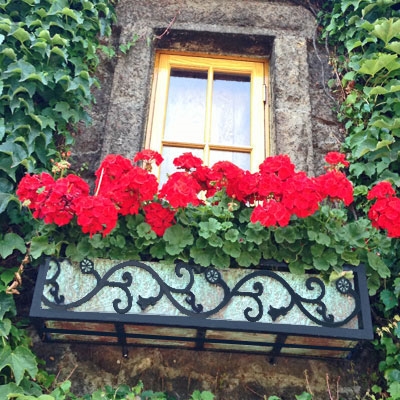 window-box6